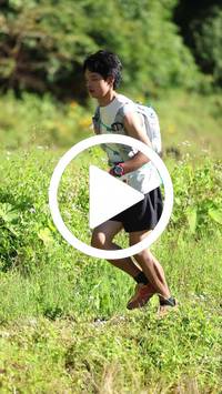 BIB:  <button type="button" onclick="openModal(26566489)" class="btn btn-primary btn-sm float-right" data-toggle="modal" data-target=".modal-high-quality">
                <i class="fa fa-download"></i> Download
                </button>